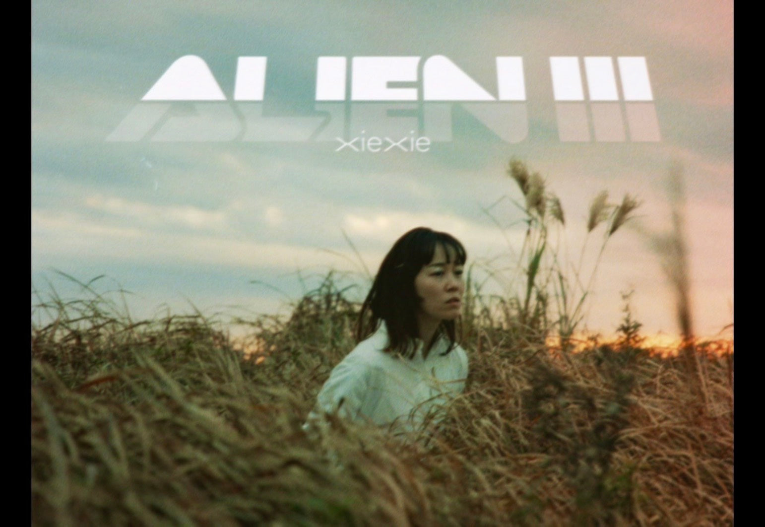 動画を読み込む: 